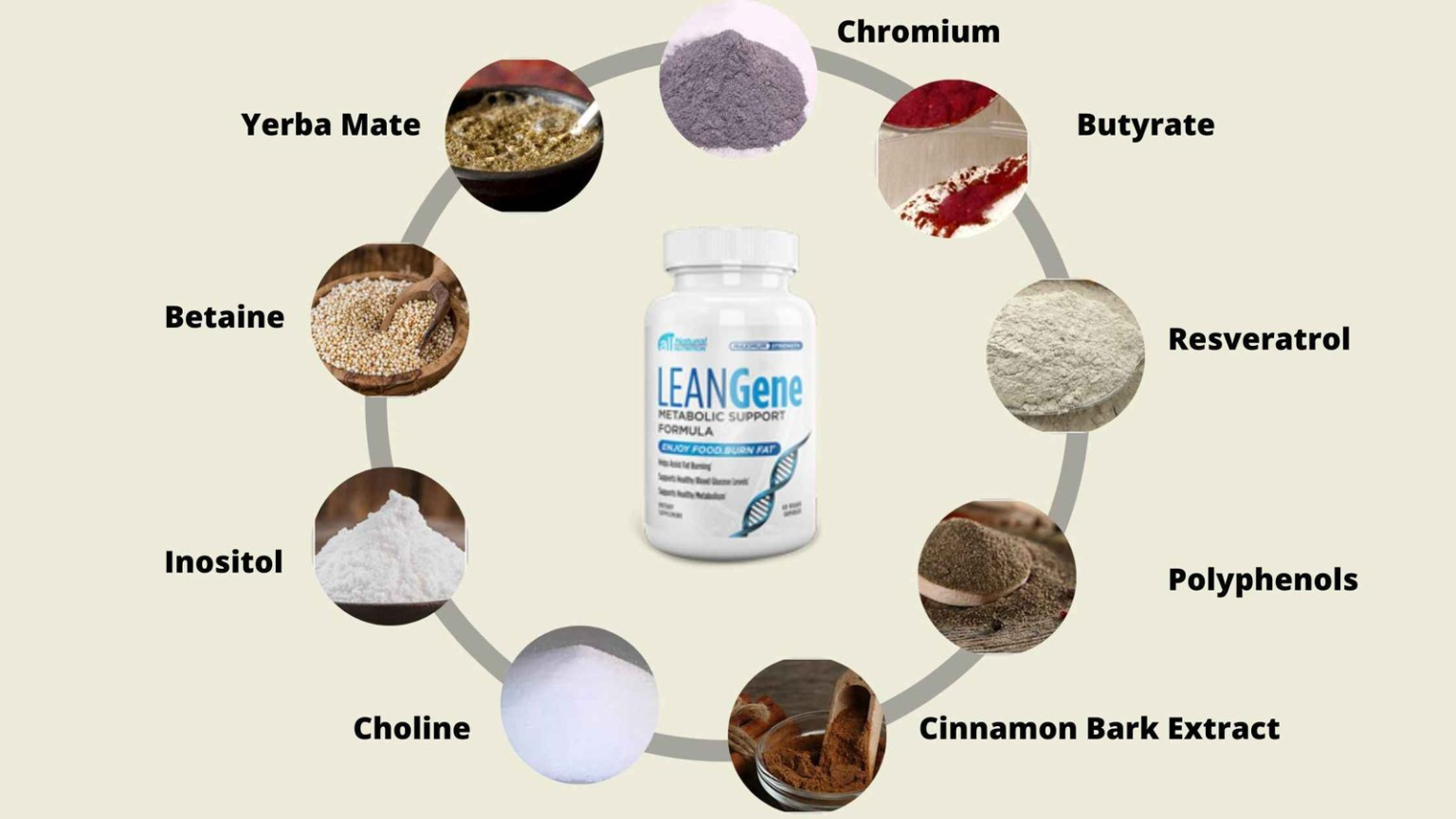 Lean Gene Fat Burner Does It Work Or Not?